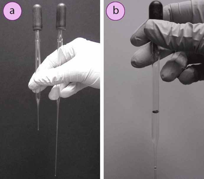 Imagen 5. a) pipetas cortas y largas, b) 1mL marcado en una pipeta con un marcador permanente