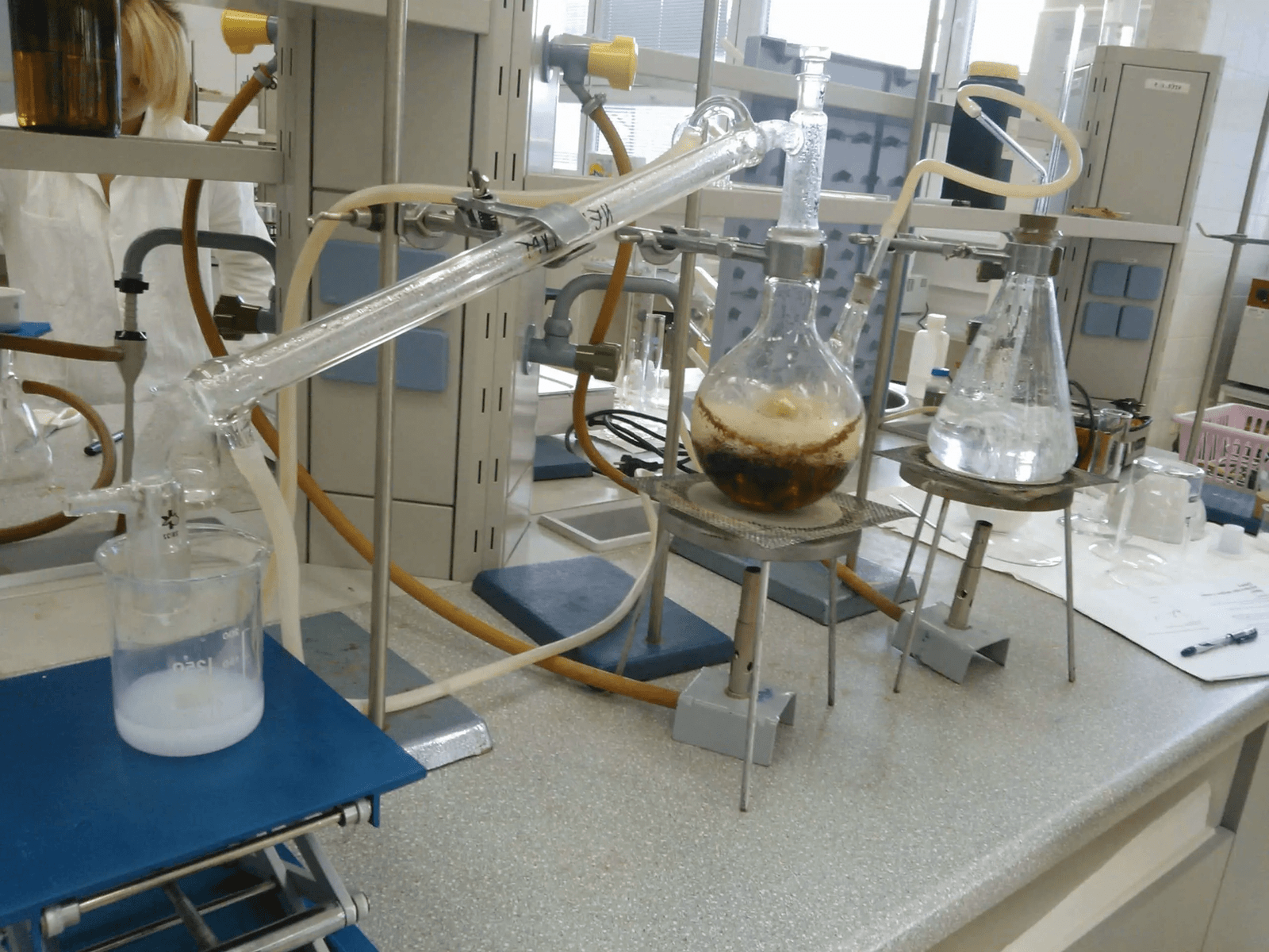 Extracción de aceites esenciales a través de arrastre con vapor