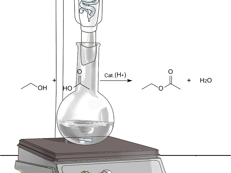 esterificación de fischer síntesis del acetato de etilo