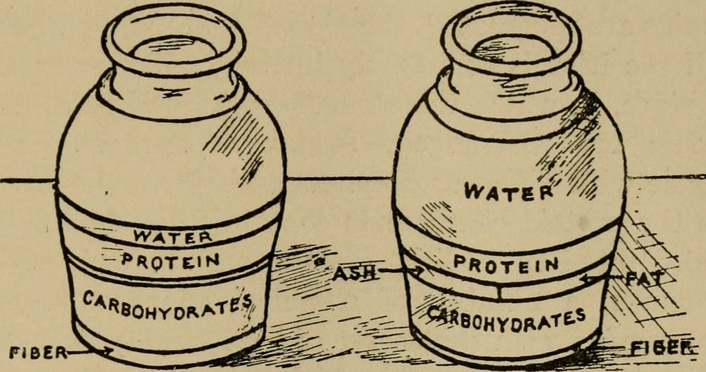 Análisis de carbohidratos
