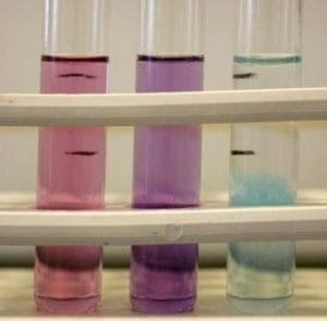 Análisis cualitativo de proteínas