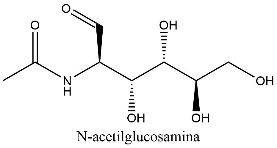 Estructura 2D de la N-acetilglucosamina