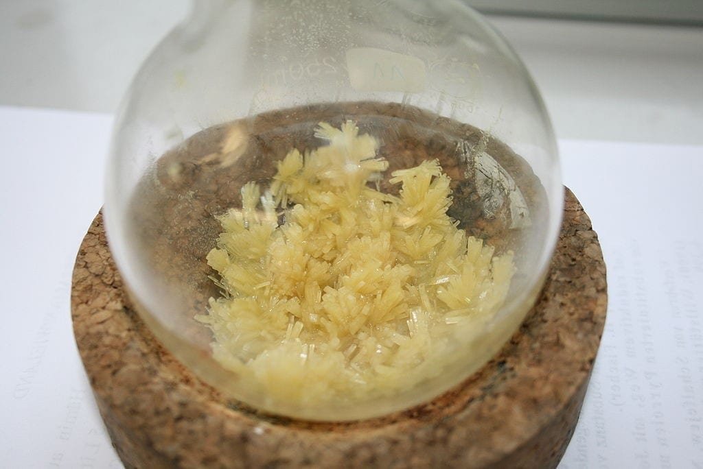 Foto de cristales de piperina extraídos de la pimienta negra (Piper nigrum) - recristalizados de acetona