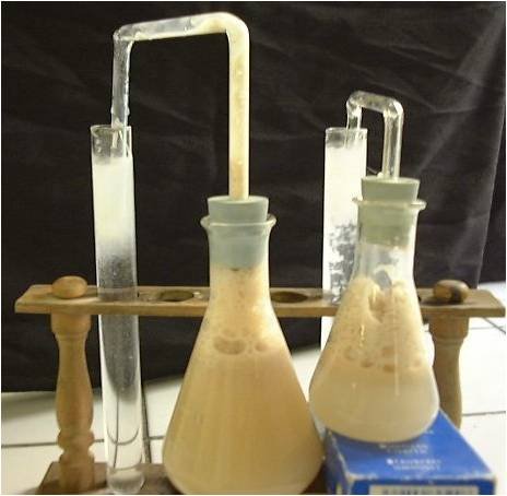 Preparación de etanol por fermentación