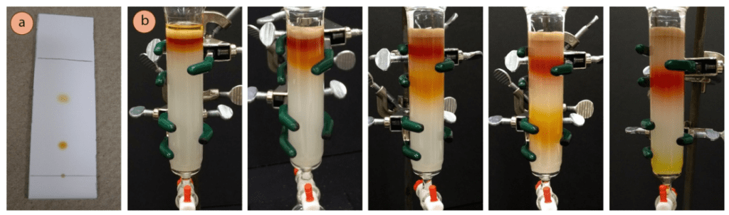 imágenes de columna de cromatografia