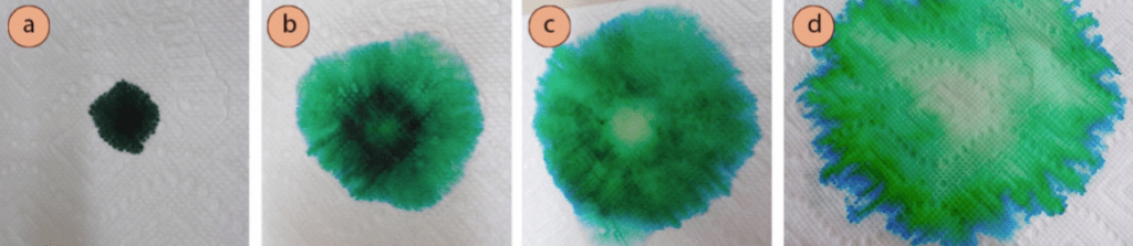 Fig. 1: Secuencia temporal de una gota de colorante alimenticio verde en una toalla de papel, seguida de una gota de agua.