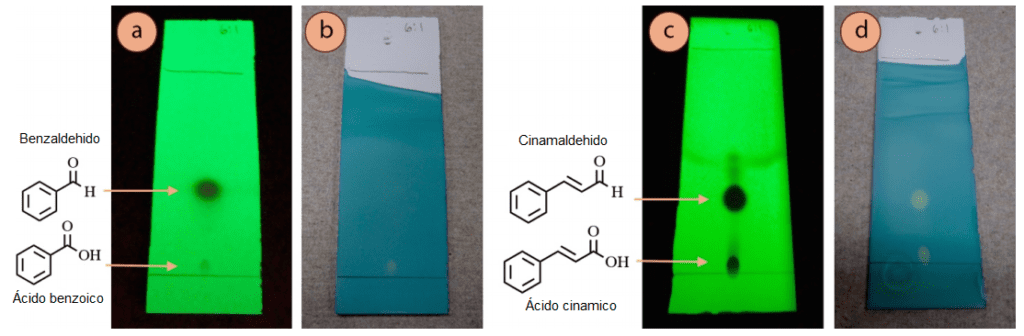 Figura 4: Placas de TLC de: a) Benzaldehído con luz UV, b) Benzaldehído con mancha verde de bromocresol, c) Cinamaldehido con luz UV, d) Cinamaldehido con mancha verde de bromocresol.