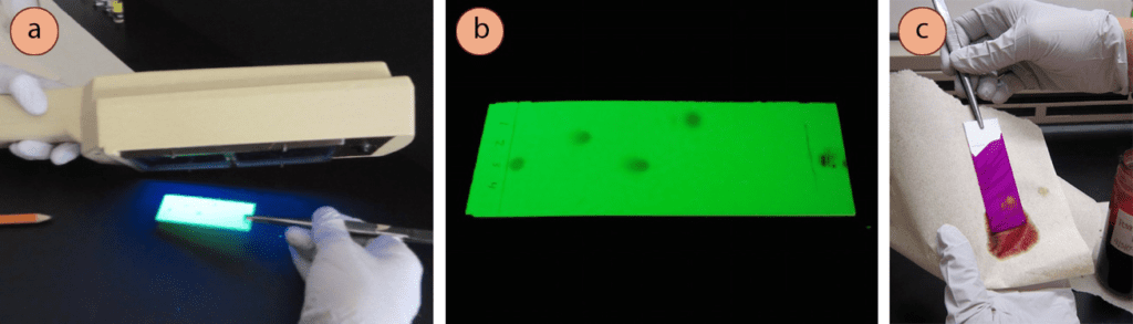 Figura 3: a) Visualización de una placa de TLC usando luz UV, b) Los compuestos aparecen oscuros sobre un fondo verde fluorescente, c) Uso de una mancha química para visualizar una placa.