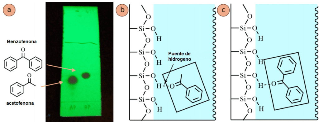 Figura 6: a) Placa de TLC de acetofenona (carril 1) y benzofenona (carril 2), utilizando mezcla de hexanos: acetato de etilo 6:1 y visualización con luz UV. Interacción con la fase estacionaria y: b) Acetofenona, c) Benzofenona.