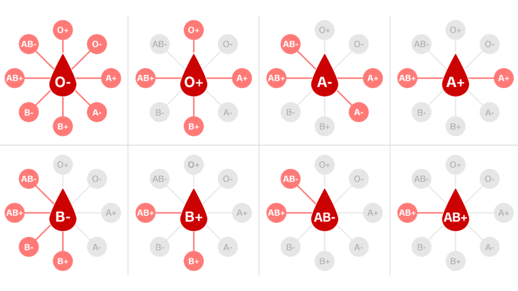 En el centro de cada figura están los donantes y en las aristas los posibles receptores. Como vemos, la sangre del tipo O negativo puede ser usada en transfusiones a personas con cualquier tipo de sangre. Fuente CNN en español