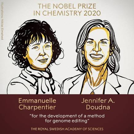 Ganadoras del premio Nobel de química 2020