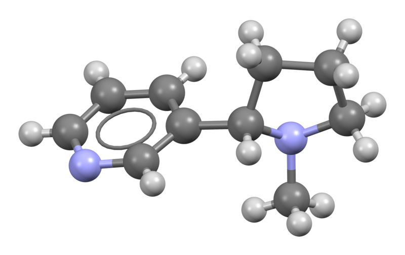 Modelo de bola y palo de una molécula de nicotina, C10H14N2, tal como se encuentra en la estructura cristalina de una así llamada esponja cristalina (clatrato) que consiste en un huésped de nicotina en un huésped de tetraimina macrocíclica.