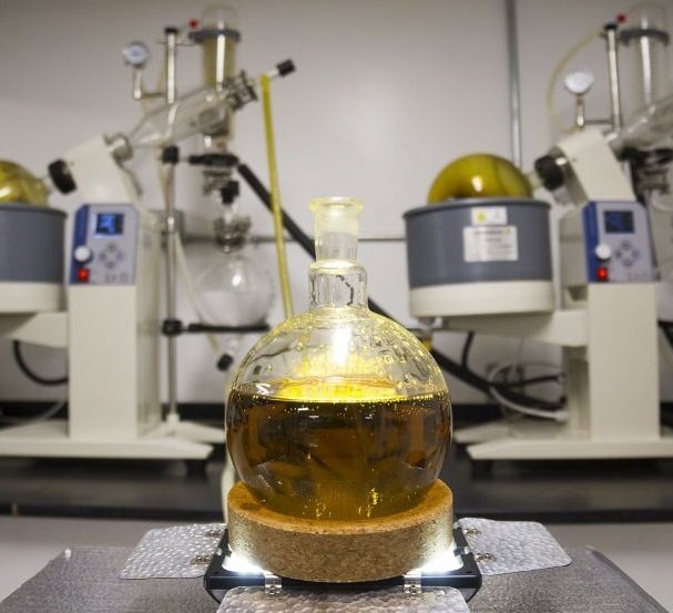 Introducción a la extracción