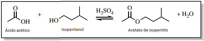 Figura 5: Esquema de reacción para producir acetato de isopentilo.