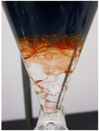 Figura 3: Emulsión formada entre diclorometano y salmuera (con colorante alimentario).