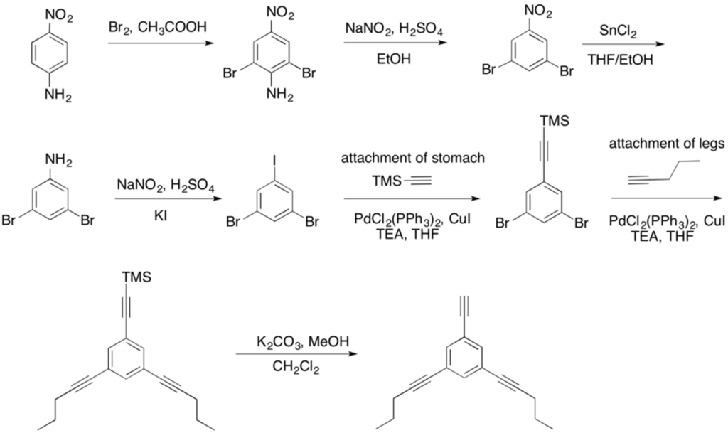 Esquema de s&iacute;ntesis de la parte inferior del NanoPutiense