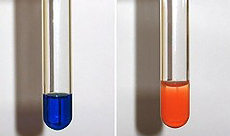 Ensayo de Fehling, azul es resultado negativo y un precipitado rojo-naranja se considera positivo