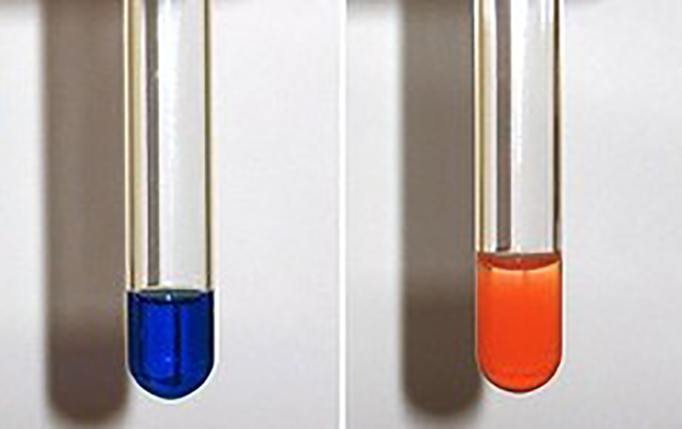 Ensayo de Fehling, azul es resultado negativo y un precipitado rojo-naranja se considera positivo