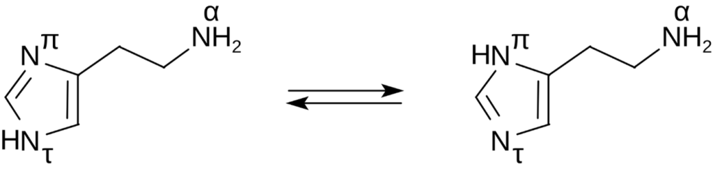 El tautómero tele (Nτ-H-histamina), a la izquierda, es más estable que el tautómero pros (Nπ-H-histamina) a la derecha.