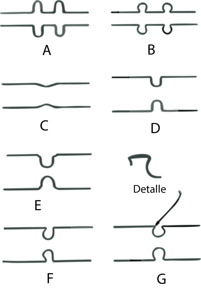 Figura 1A-G. Fuelles de expansión de vidrio.