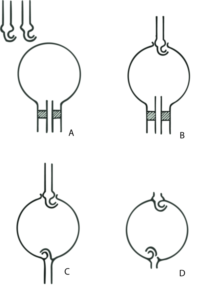 Figura 1. Pasos para fabricar un matraz Kjeldahl.