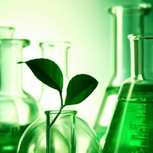 La Química Verde y la Sostenibilidad: Un Enfoque Científico