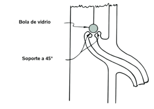 Figura 2. V&aacute;lvulas de retenci&oacute;n de vidrio sobre v&aacute;stagos.