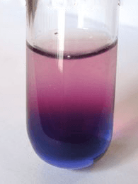 Propiedades de algunos ácidos carboxílicos