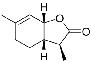 Estructura de la lactona del vino